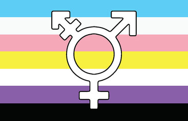 Update to G16-P011: Recognition of Trans and Non-Binary People and Respecting Gender Identity